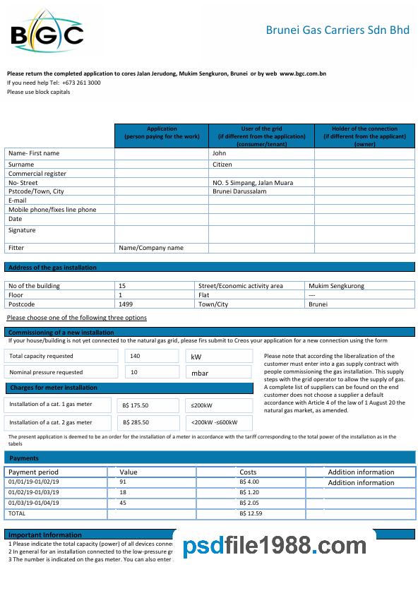 Brunei Gas Carriers Sdn Bhd Natural Gas Bill